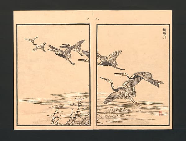 Bairei Picture Album of One Hundred Birds (Bairei hyakuchō gafu) 楳嶺百鳥畫譜, by Kōno Bairei 幸野楳嶺