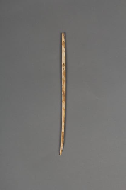 Needle