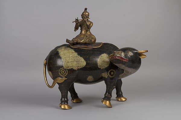 Herdboy with water buffalo