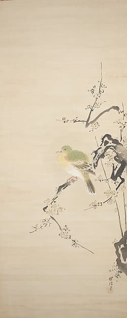 Dove on Plum Tree, by Kano Tanshin (Morimasa)