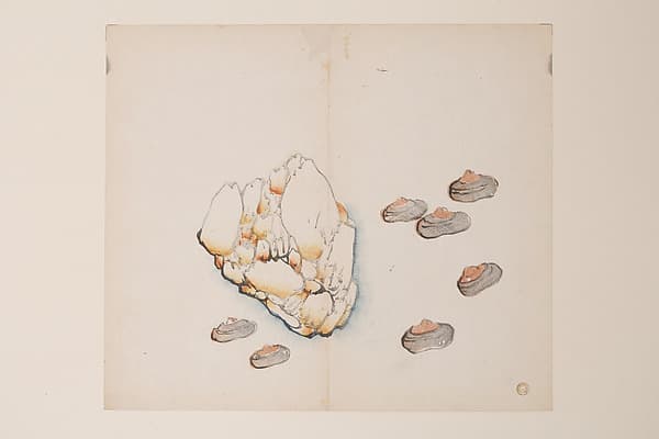 Page from the Ten Bamboo Studio Manual of Painting and Calligraphy, by Hu Zhengyan