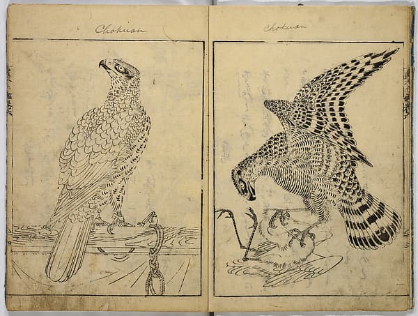 Book of Famous Japanese and Chinese Paintings, by Ooka Shunboku