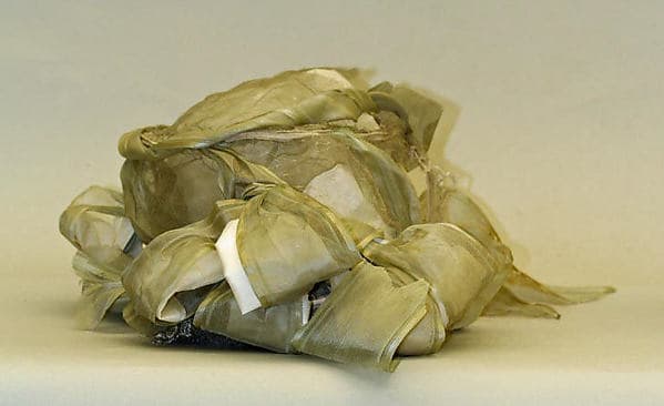 Bonnet