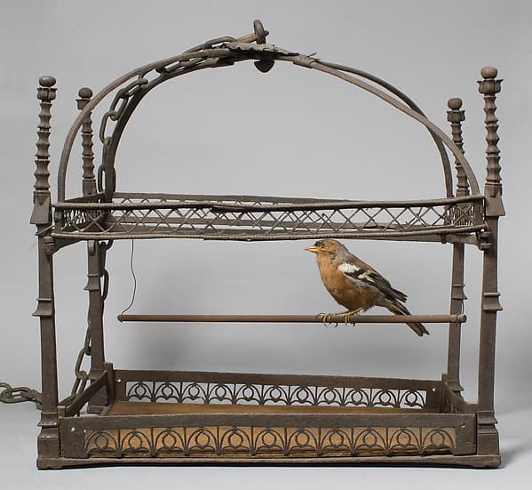 Birdcage