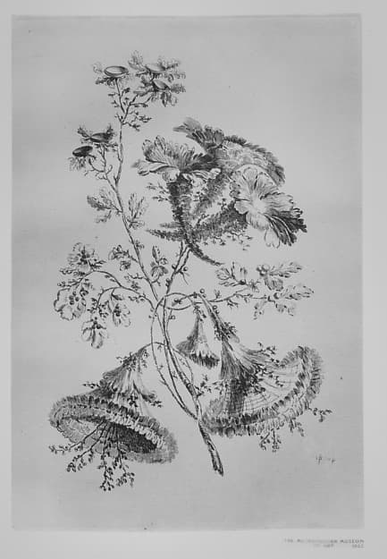 Plate, from "Fleures Baroques", by Jean Pillement