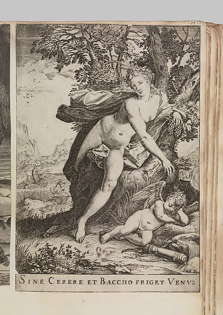 Sine Cerere et Baccho Friget Venus, by Agostino Carracci