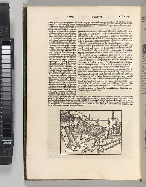 Di Lucio Vitruvio Pollione De architectura Libri Dece traducti de latino in vulgare affigurati: commentati: & con mirando ordine insigniti, by Marcus Pollio Vitruvius