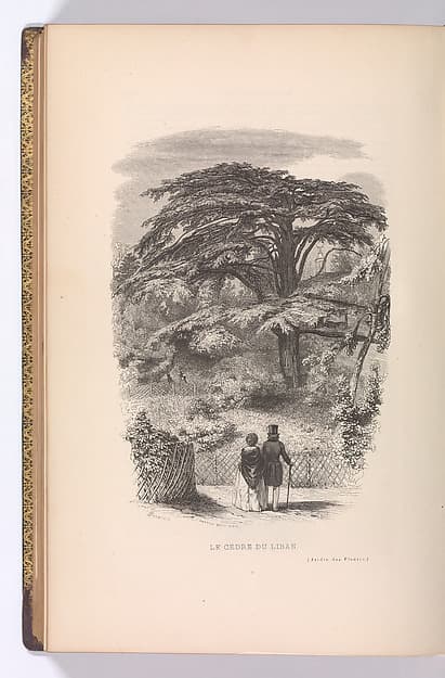 Le Jardin des Plantes, Descriptions et Moeurs des Mammiferes, by François Boitard
