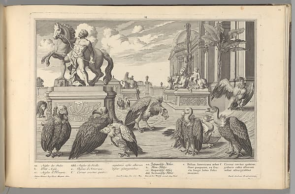 Residences Memorables de l'Incomporable Heros de Nôtre Siècle, ou Edifices et Jardins de Son Altesse Serenissime Monsigneur Le Prince Eugene François de Savoye et de Piedmont, by Salomon Kleiner