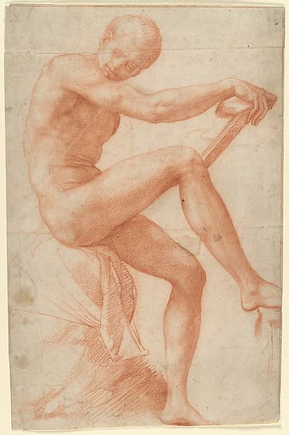 Seated Male Nude, by Francesco Salviati (Francesco de' Rossi)