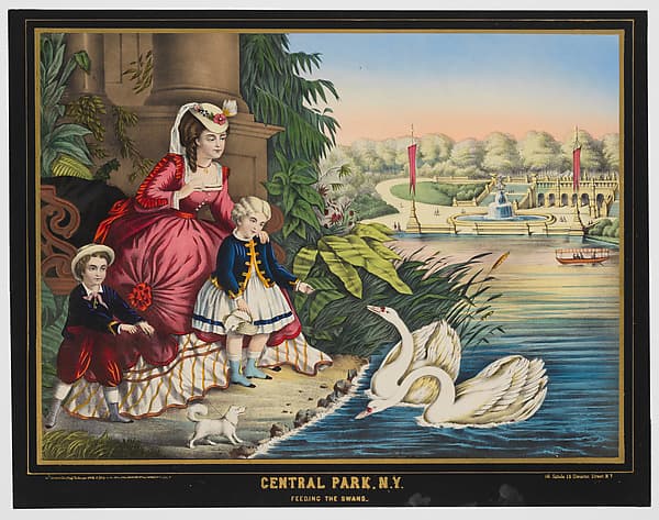 Central Park, New York, Feeding the Swans, by George Schlegel, New York