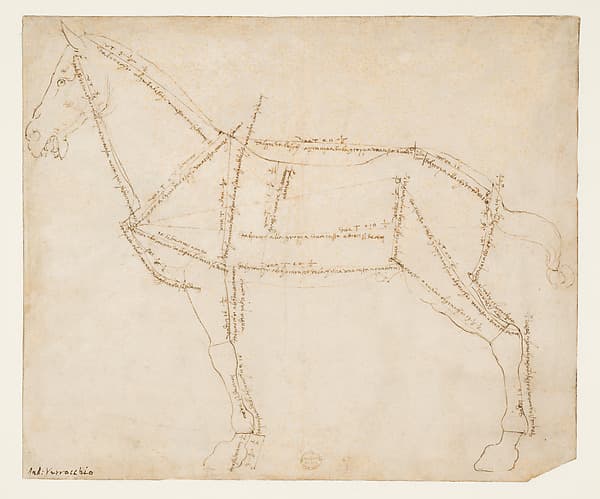 Measured Drawing of a Horse Facing Left (recto), by Andrea del Verrocchio