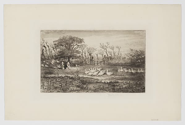 Les Oies, by Félix-Hilaire Buhot