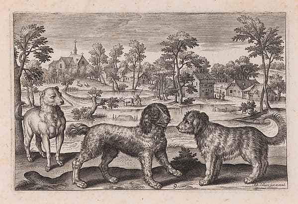 Three Dogs, plate 9 from a set of Four Legged Animals, by Adriaen Collaert