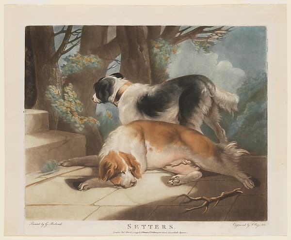 Setters, by Samuel William Reynolds, the elder