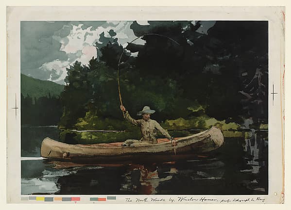 The North Woods, by Winslow Homer
