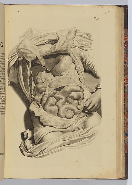 Ontleding des menschelyken lichaams, by Govert Bidloo