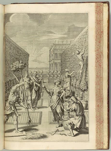 Hesperides sive de Malorum Aureorum cultura et usu. Libri Quatuor, by Giovanni Battista Ferrari