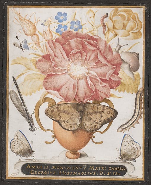 Still Life with Flowers, a Snail and Insects, by Joris Hoefnagel