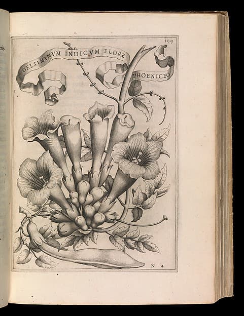 De Florum Cultura, by Giovanni Battista Ferrari