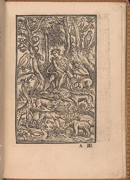 Convivio delle Belle Donne, by Nicolò Zoppino