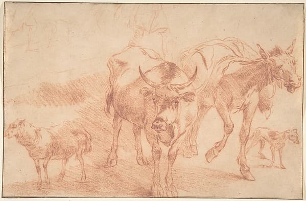 Animal Studies, by Nicolaes Berchem