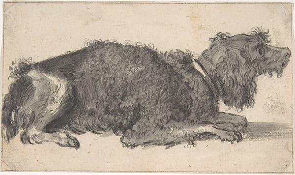 A Dog, by Cornelis Saftleven