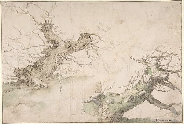 Studies of Two Pollard Willows; Verso: Wide Landscape Prospect, by Abraham Bloemaert