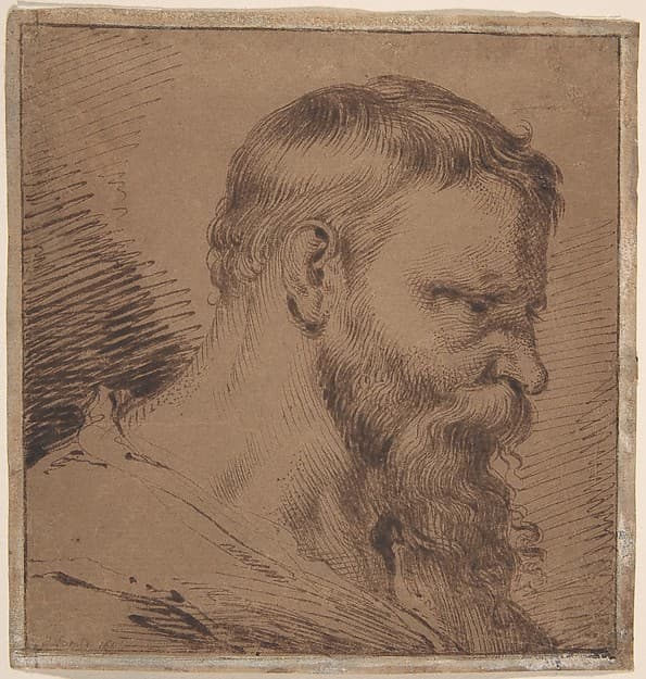 Bearded Head, Looking Down to the Right, by Jacques de Gheyn, III
