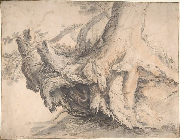 Study of a Tree, by Roelandt Savery
