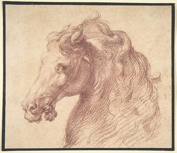 Head of a Horse, by Anonymous, Italian, mid-16th century