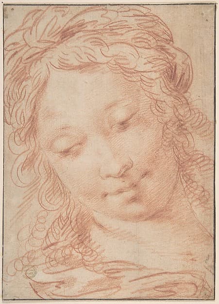 The Head of a Young Woman, by Ercole Procaccini The Younger