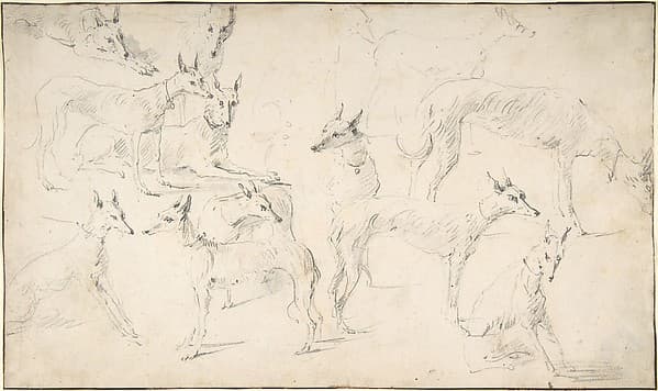 Studies of Hounds, by David Teniers the Younger