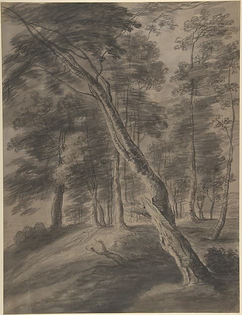 Forest Scene with Tree in Foreground, by Jacques d'Artois