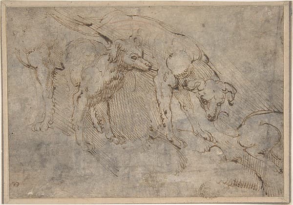 Studies of a Dog, by Anonymous, Netherlandish, 16th century