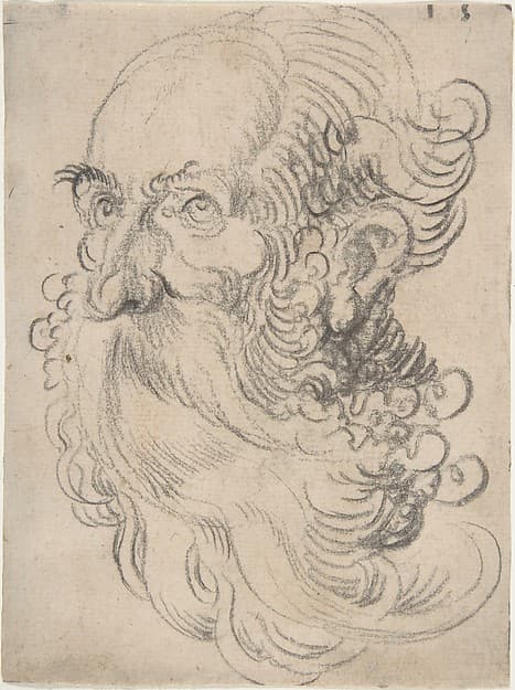 Head of a Bearded Old Man, by Wolfgang Huber