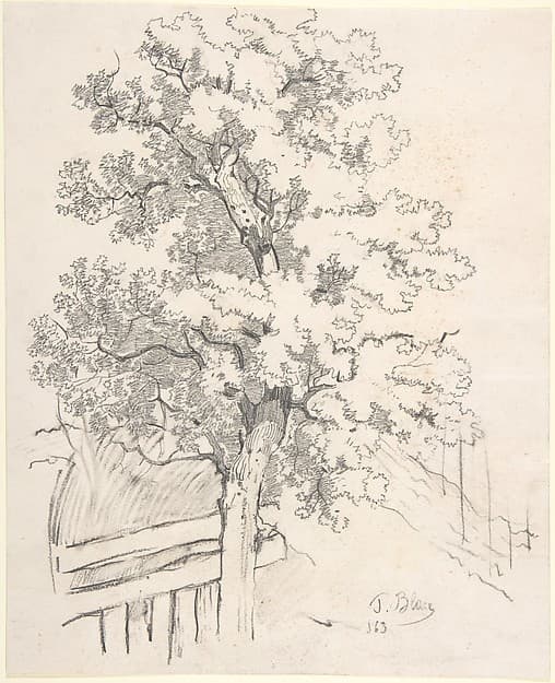 Study of a Tree, by Tina Blau