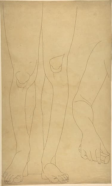 Study of Lower Legs and an Arm, by William Pitts