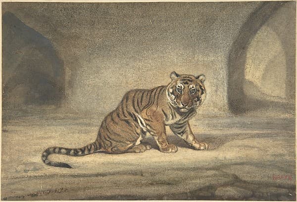 Tiger, by Antoine-Louis Barye