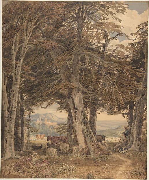 Cattle and sheep at resting at the edge of a forest, by George Barret, the younger