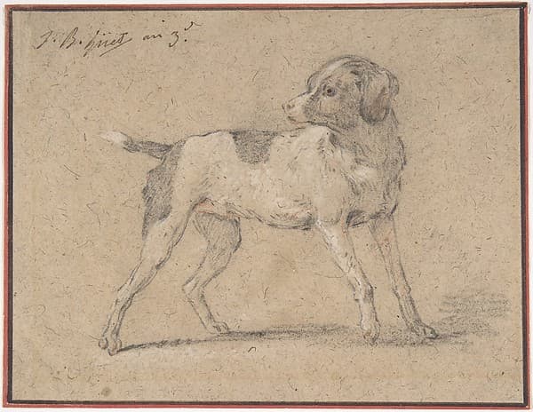 Black and White Dog, Head Turned to the Left, by Jean-Baptiste Huet I