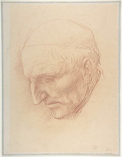 Head of a Beadle, by Alphonse Legros