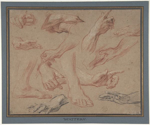 Studies of Hands and Feet, by François Le Moyne