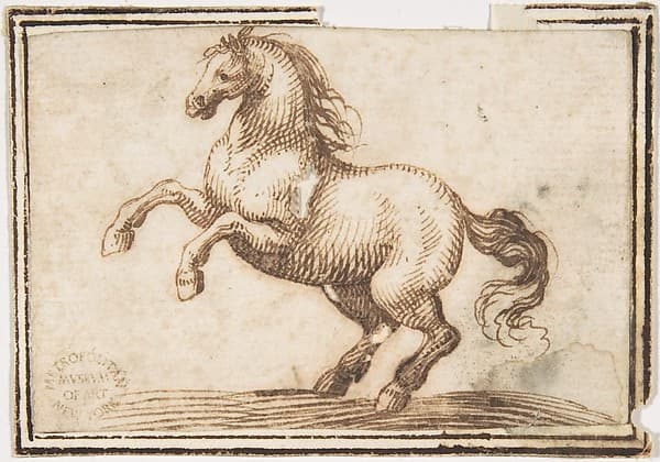 Horse, by Francesco Allegrini
