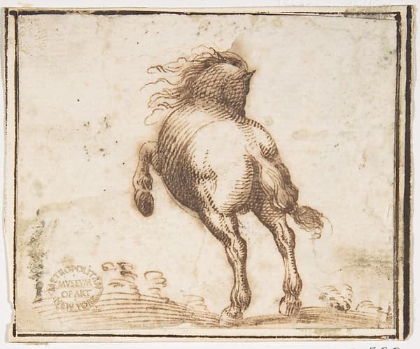 Horse, by Francesco Allegrini