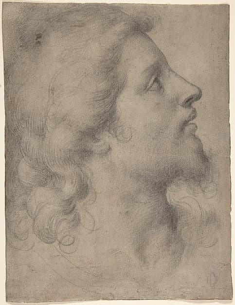 Head of a Bearded, Young Man in Profile Facing Right, by Bronzino (Agnolo di Cosimo di Mariano)