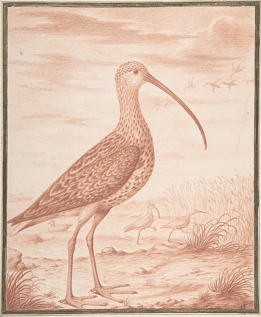 Curlews and Ducks, by Nicolas Robert