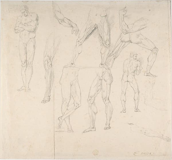 Nude Study, by Anonymous, Italian, early 19th century