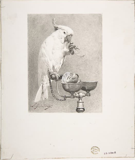 The Sedate Parrot, by Jean-Georges Vibert