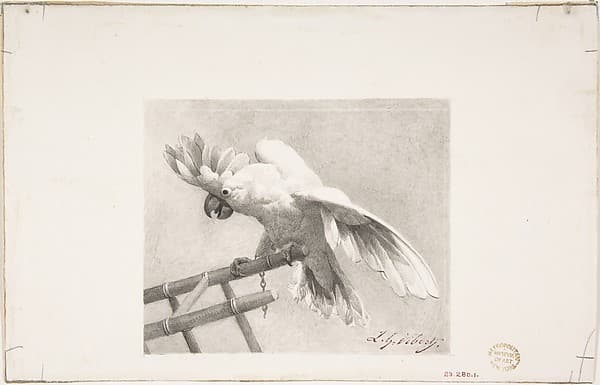 The Angry Parrot, by Jean-Georges Vibert